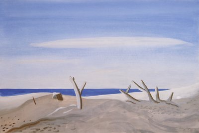 Driftwood of the Grand Raft, 1987 by Marie Hugo